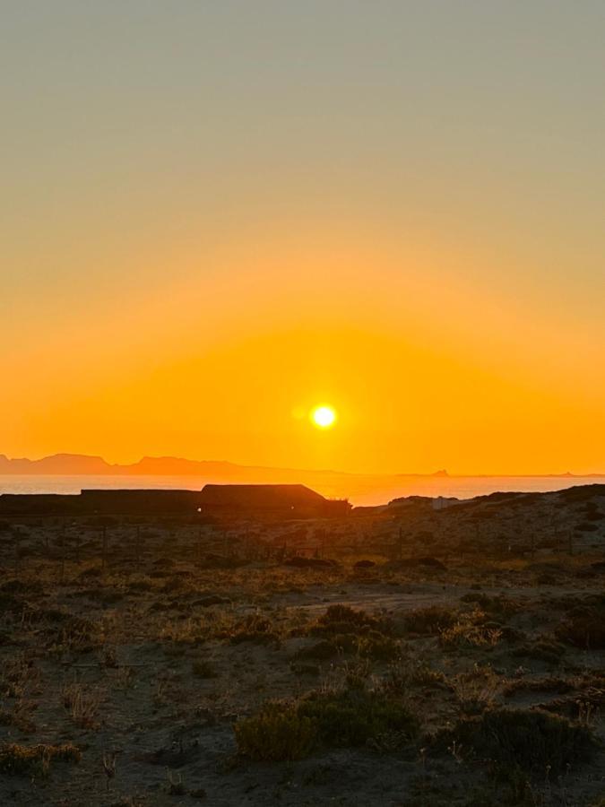 Entre Dunas Y Caracolas Punta de Choros Eksteriør bilde