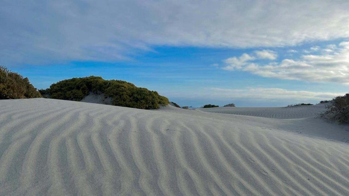 Entre Dunas Y Caracolas Punta de Choros Eksteriør bilde