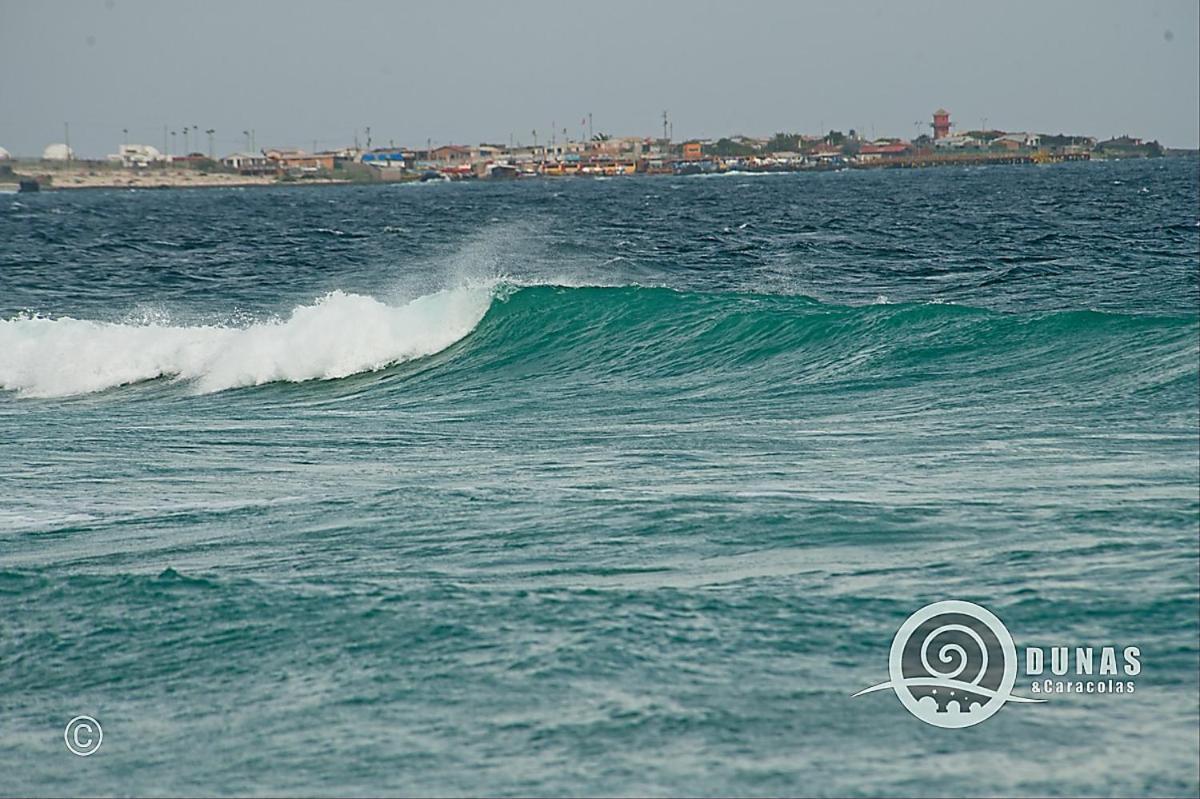 Entre Dunas Y Caracolas Punta de Choros Eksteriør bilde
