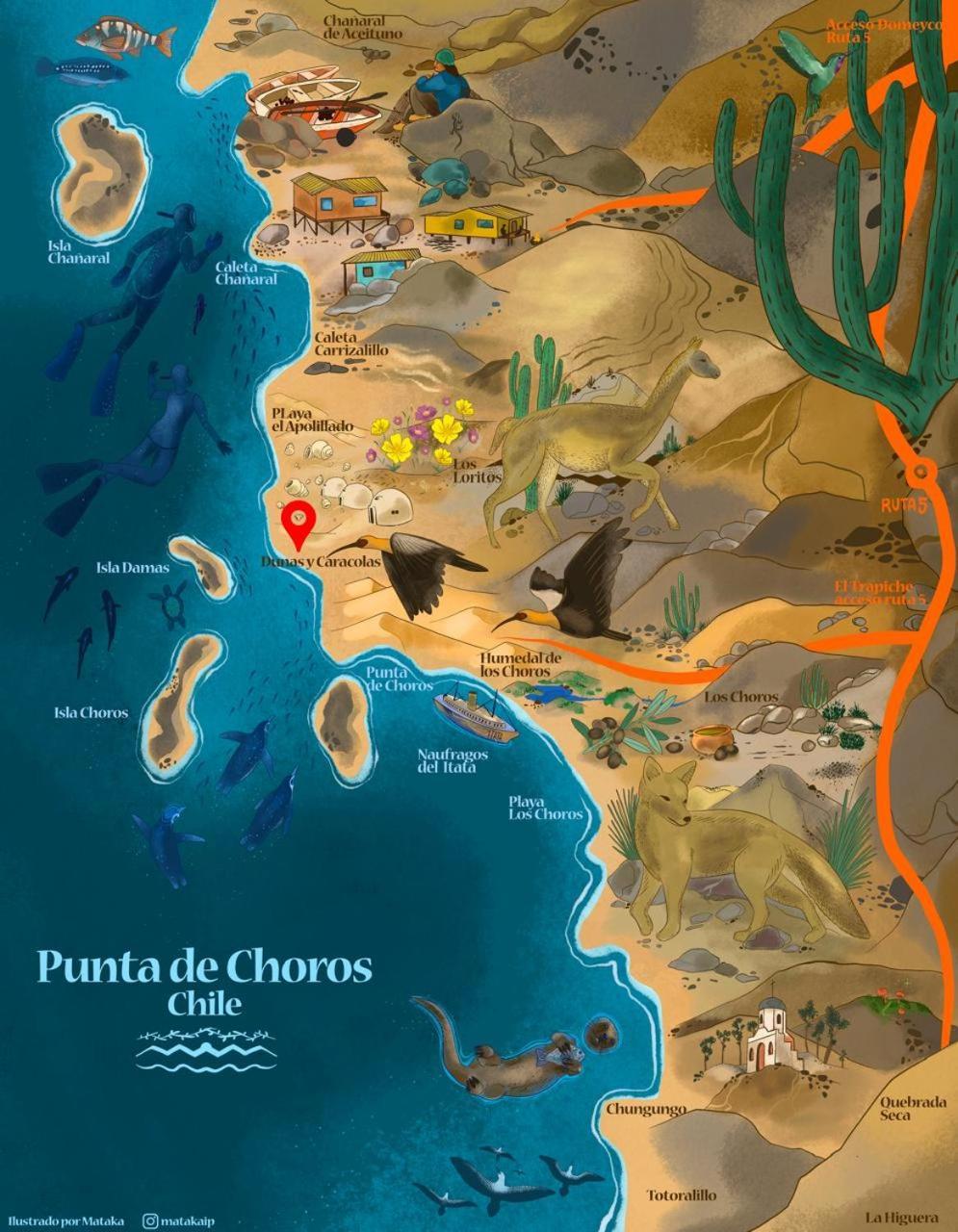 Entre Dunas Y Caracolas Punta de Choros Eksteriør bilde